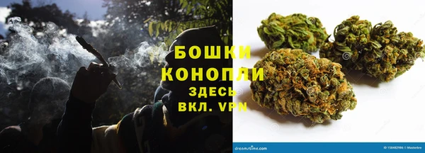 PSILOCYBIN Новодвинск