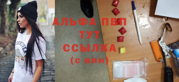 PSILOCYBIN Новодвинск