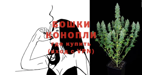 spice Новозыбков