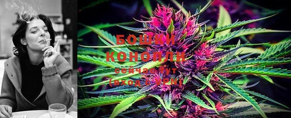 PSILOCYBIN Новодвинск