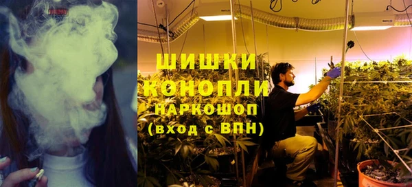 PSILOCYBIN Новодвинск