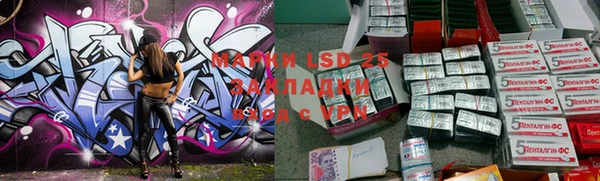 spice Новозыбков
