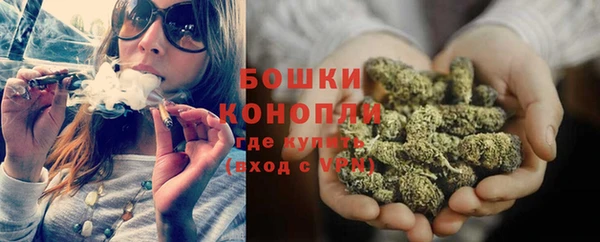 spice Новозыбков