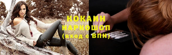 PSILOCYBIN Новодвинск